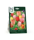 SYYSSIPULI TULPPAANI VÄRISEKOITUS - Siemenet ja sipulit - 7312602007602 - 3