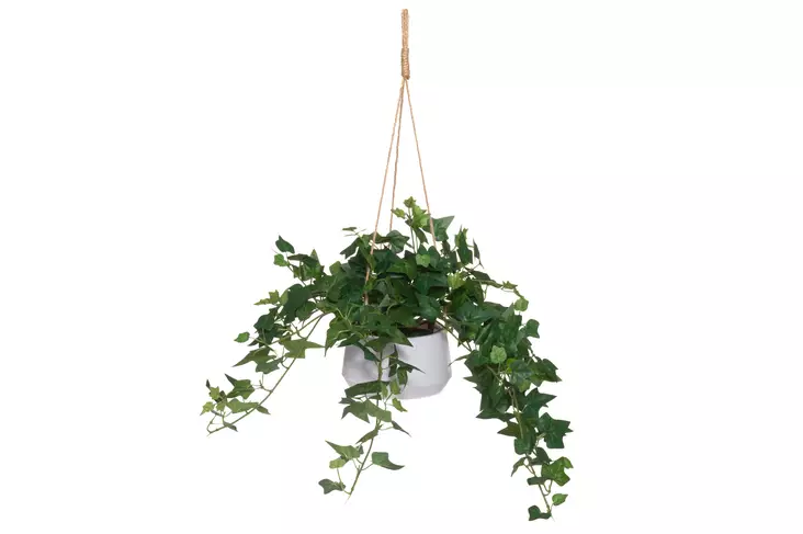 4Living Muratti amppelissa 16 cm - Tekokukat ja -kasvit - 6410416319872 - 1