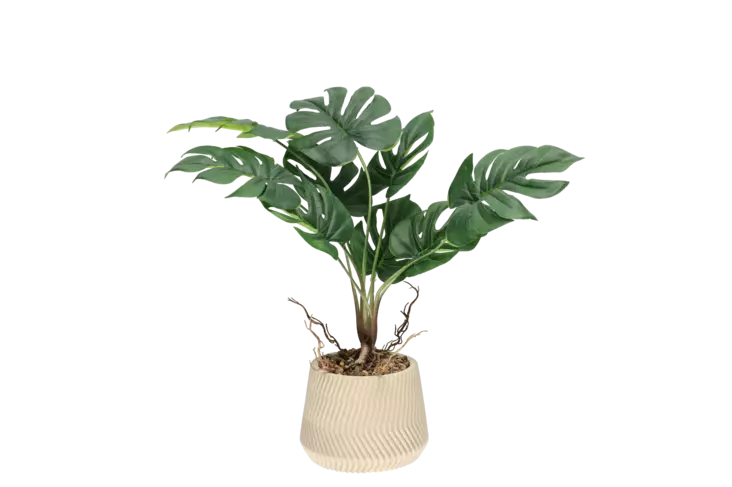 4Living Peikonlehti dolomiittiruukussa - Tekokukat ja -kasvit - 6410416229072 - 1