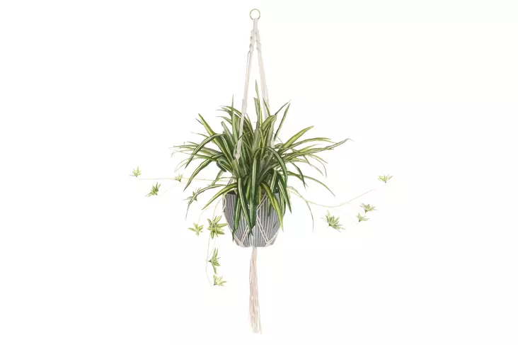 4Living Rönsylilja amppeli 90 cm - Tekokukat ja -kasvit - 6410416030982 - 1