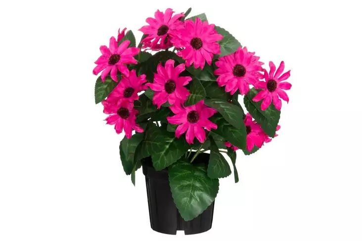 4Living Tähtisilmä ruukussa fuksia - Tekokukat ja -kasvit - 6410416529752 - 1