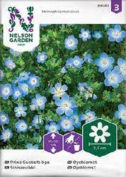 Sievikki, Sini- - Kukkien siemenet - 7312600880832 - 1