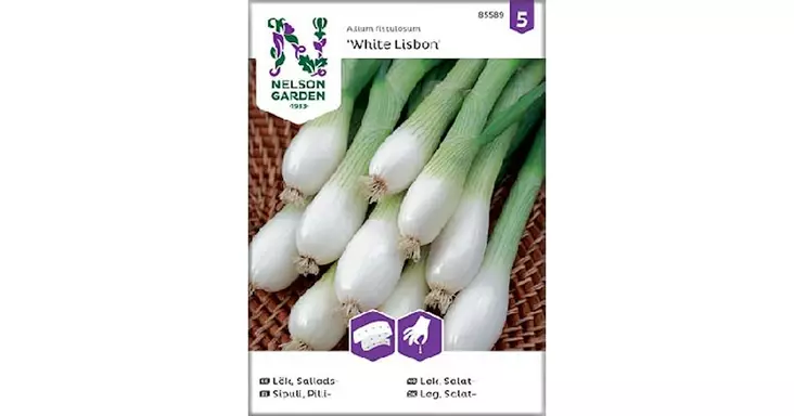 Sipuli, Pilli-, White Lisbon, kylvönauha - Vihannesten ja hedelmien siemenet - 7312600855892 - 1