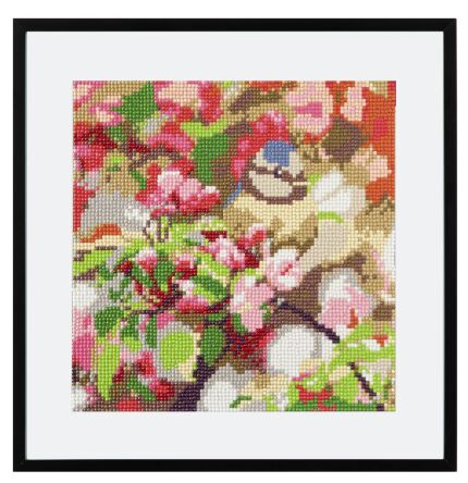 TIMANTTIMAALAUS 30 X 30 cm lintu - Tee-se-itse DIY - 8715427104492 - 1