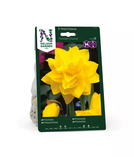 SYYSSIPULI NARSISSI PÄÄSIÄISLILJA GOLDEN - Siemenet ja sipulit - 7312602004403 - 2