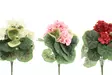 4Living Pelargonia kimppu eri kuoseja - Tekokukat ja -kasvit - 6410412866493 - 1