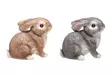 4Living Pupu 12 cm - Koriste-esineet - 6410413120013 - 1