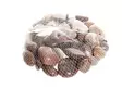 Koristekivi 1 kg - Koristekivet ja hiekat - 6410411817083 - 1