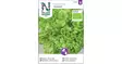 Salaatti, Endiivi, Silo-, Nuance, Org. - Yrttien siemenet - 7312600859883 - 1