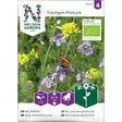 Seos, Mehiläiskukkia-, Organic - Kukkien siemenet - 7312600872103 - 1