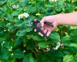 BLACK+DECKER Alasinmalliset oksasakset - Puutarhasakset, oksaleikkurit ja -sahat - 8711252436623 - 4
