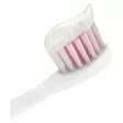 COLGATE Lasten hammastahna eläimet 50ML - Suunhoito, hammastahnat ja -harjat - 8718951321373 - 2