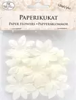 Paperikukat Iso valkoinen 12 kpl - Tee-se-itse DIY - 6417715049103 - 1