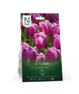 Syyssipuli Triumftulppaani, 'Purple Flag' - Siemenet ja sipulit - 7312603021133 - 1
