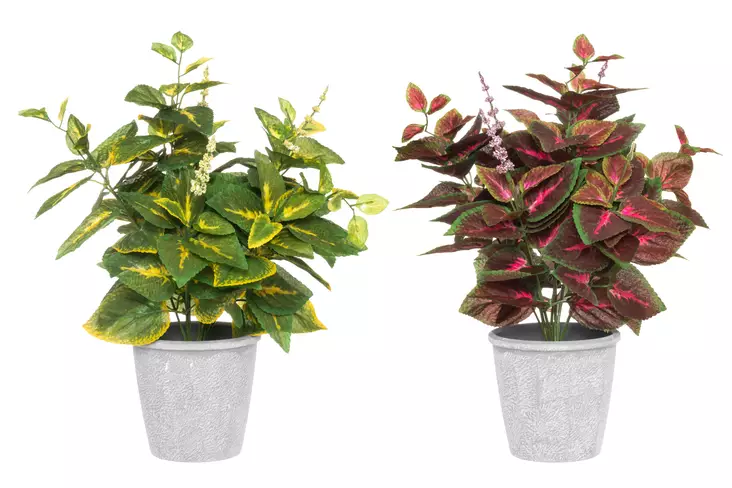 4Living Isokirjopeippi 40 cm - Kukkamaljakot - 6410416031033 - 1