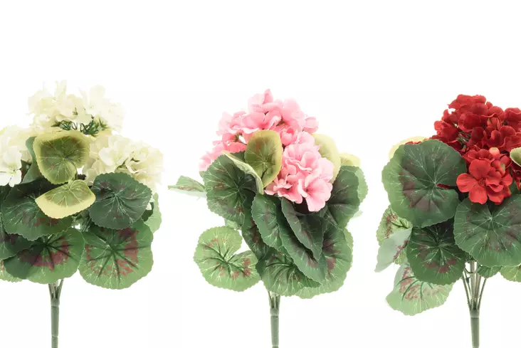 4Living Pelargonia kimppu eri kuoseja - Tekokukat ja -kasvit - 6410412866493 - 1