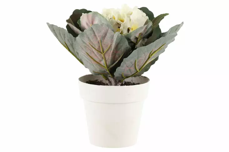 4Living Saint Paulia valkoinen - Tekokukat ja -kasvit - 6410413288133 - 1