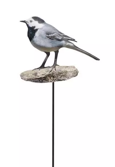 4Living Puutarhakoriste Lintu västäräkki - Pihapatsaat ja -koristeet - 6410416464183 - 1