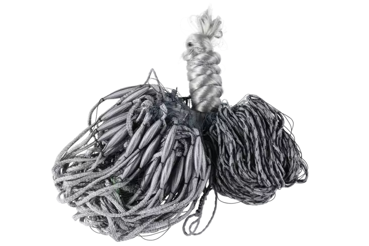 Apaja Kalaverkko ECO 45 mm 0,17 mm 1,8 m 30 m - Kalaverkot - 6410416239293 - 1