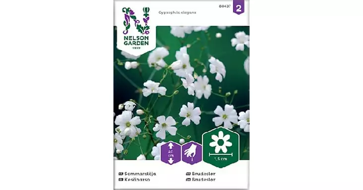 Harso, Kesä- - Kukkien siemenet - 7312600884373 - 1