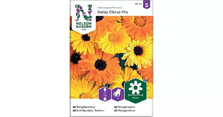 Kehäkukka, Tarha-, Daisy Citrus Mix - Kukkien siemenet - 7312600881723 - 1