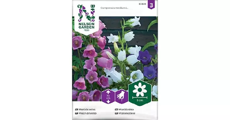 Kello, Maarian, seos - Kukkien siemenet - 7312600878563 - 1