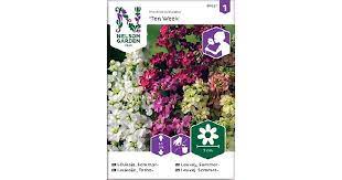 Leukoija, Tarha-, Ten Week - Kukkien siemenet - 7312600878273 - 1