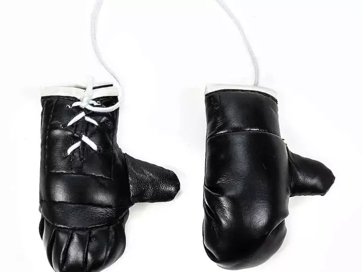 NYRKKEILYHANSKAT KORISTE - Karvanopat - 8711252022093 - 1