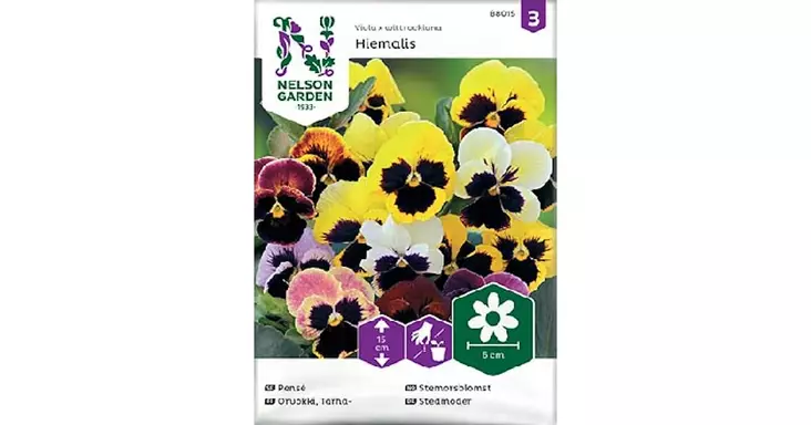 Orvokki, Tarha-, Hiemalis, väriseos - Kukkien siemenet - 7312600880153 - 1