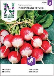 Retiisi, Københavns Torve 2, rund - Vihannesten ja hedelmien siemenet - 7312600858923 - 1