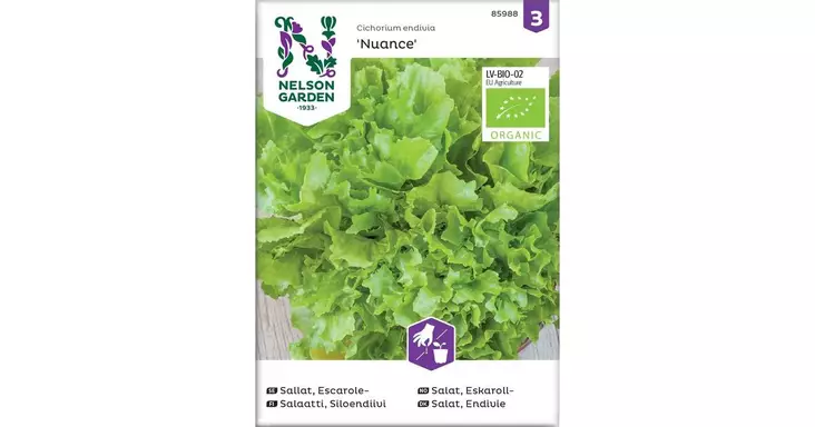 Salaatti, Endiivi, Silo-, Nuance, Org. - Yrttien siemenet - 7312600859883 - 1