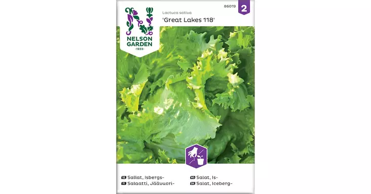 Salaatti, Jäävuori-, Great Lakes 118 - Vihannesten ja hedelmien siemenet - 7312600860193 - 1