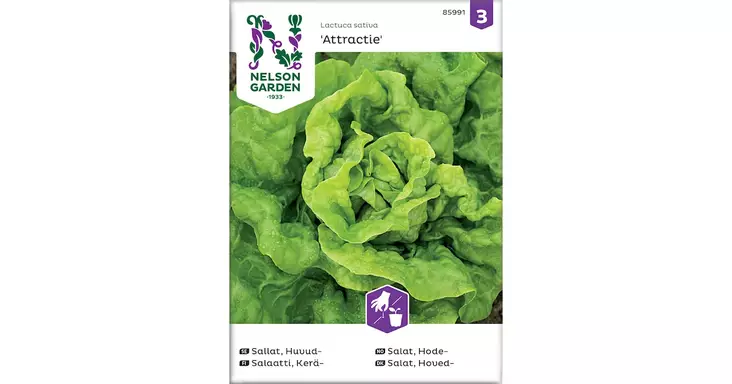 Salaatti, Kerä-, Attractie - Vihannesten ja hedelmien siemenet - 7312600859913 - 1