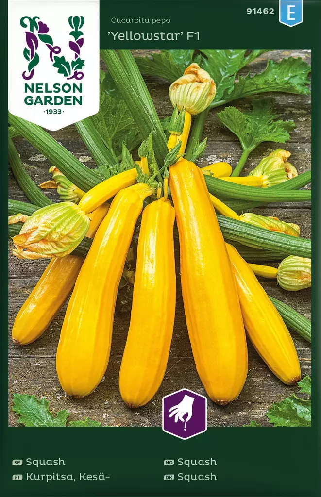 Kurpitsa, Kesä-, Yellowstar F1 - Vihannesten ja hedelmien siemenet - 7312600861473 - 1
