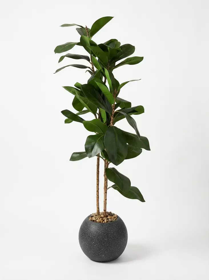 TEKOKUKKA VIHERKASVI RUUKUSSA 90 cm - Tekokukat ja -kasvit - 6438159393553 - 1