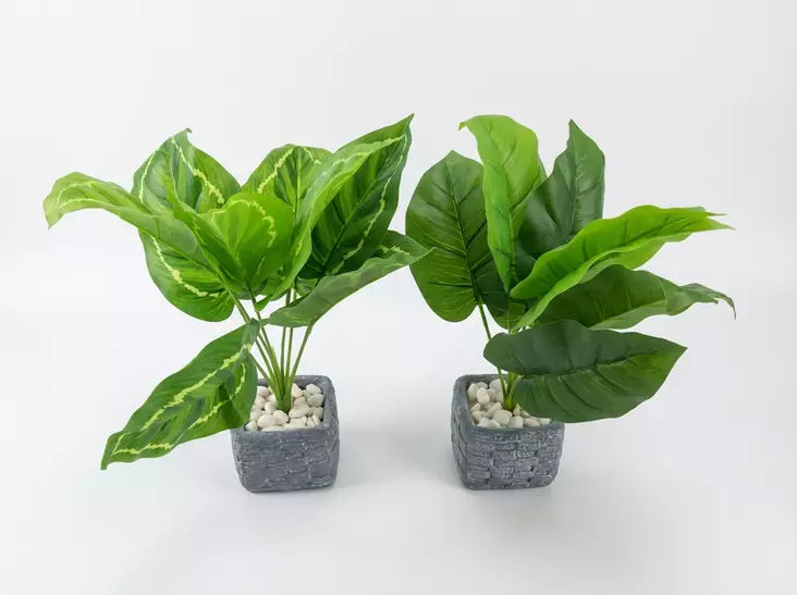 TEKOKUKKA VIHERKASVI RUUKUSSA - Tekokukat ja -kasvit - 6438159393423 - 1