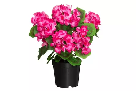 4Living Pelargonia ruukussa tumma pinkki - Tekokukat ja -kasvit - 6410416529844 - 1
