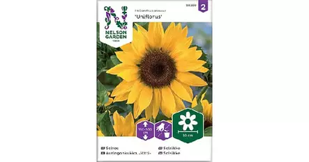 Auringonkukka, Jätti-, Uniflorus - Kukkien siemenet - 7312600883604 - 1