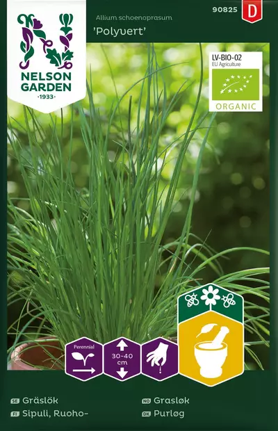 Sipuli, Ruoho-, Tavallin. Polyv, Organic - Vihannesten ja hedelmien siemenet - 7312600852914 - 1