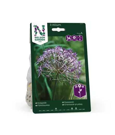 SYYSSIPULI TÄHTILAUKKA - Siemenet ja sipulit - 7312602006704 - 1