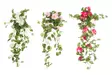 4Living Pelargonia kimppu riippuva 80 cm lajitelma - Tekokukat ja -kasvit - 6410413122154 - 1