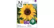 Auringonkukka, Jätti-, Uniflorus - Kukkien siemenet - 7312600883604 - 1