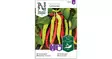 Paprika, Mauste-, Lombardo - Vihannesten ja hedelmien siemenet - 7312600852464 - 1