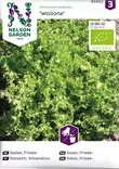Salaatti, Endiivi, Wallone, Organic - Vihannesten ja hedelmien siemenet - 7312600859524 - 1