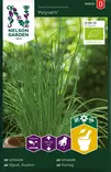 Sipuli, Ruoho-, Tavallin. Polyv, Organic - Vihannesten ja hedelmien siemenet - 7312600852914 - 1
