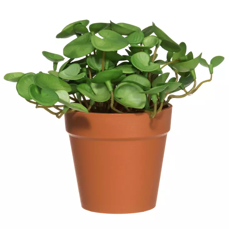 4Living Hattuputki ruukussa 16 cm - Tekokukat ja -kasvit - 6410416279244 - 1
