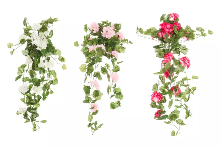 4Living Pelargonia kimppu riippuva 80 cm lajitelma - Tekokukat ja -kasvit - 6410413122154 - 1
