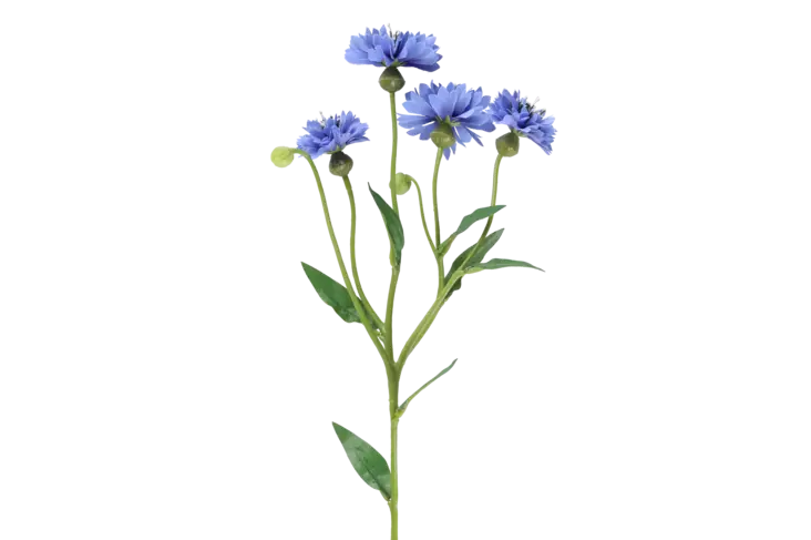 4Living Ruiskukka oksa 61,5 cm - Tekokukat ja -kasvit - 6410416318424 - 1