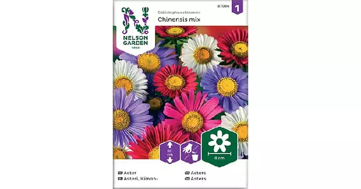 Asteri, Kiinan-, Chinensis, väriseos - Kukkien siemenet - 7312600870864 - 1
