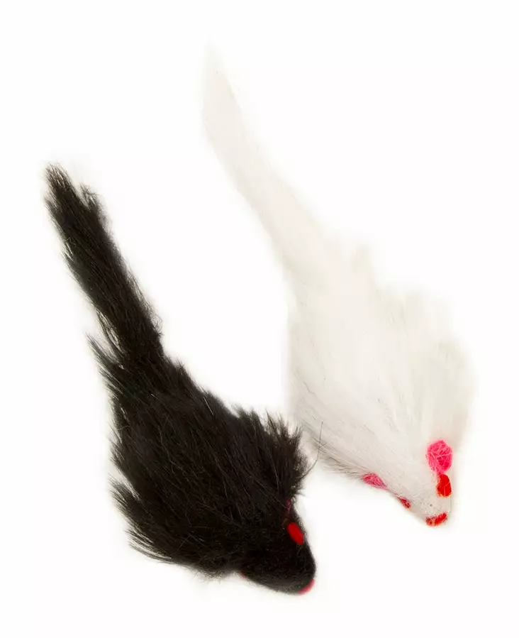 Best Friend Missy kissanlelu 2kpl eri kuoseja. - Kissan lelut - 5700551250934 - 1